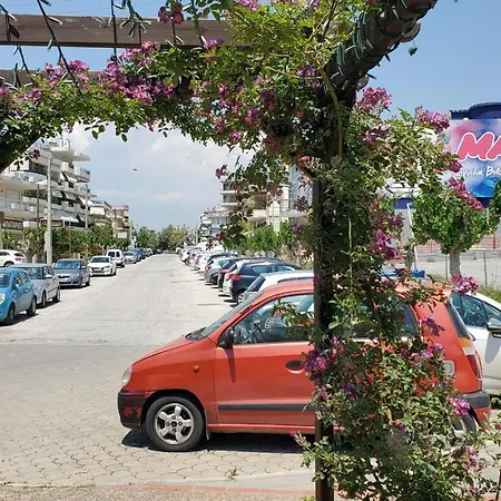 Summer Sunflowers In Glyfada Athens